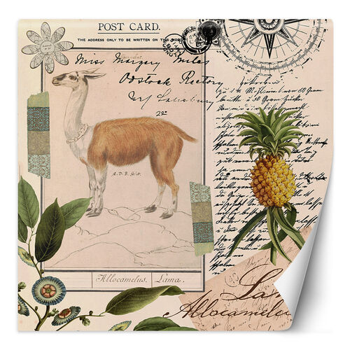 Fototapet, Shabby Chic Style Llama Natur Abstraksjon Tropisk - Andrea Haase