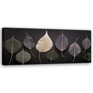 Lerretsbilde, Minimalisme etterlater glamourplanter - (90x30)