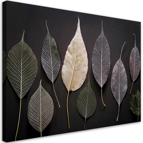 Lerretsbilde, Minimalisme etterlater glamourplanter - (90x60)