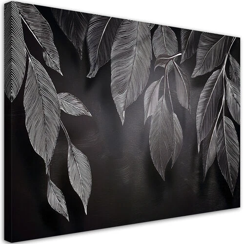 Lerretsbilde, Minimalisme etterlater planter svart og hvitt - (60x40)