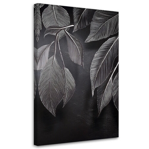 Lerretsbilde, Minimalisme etterlater planter svart og hvitt - (70x100)