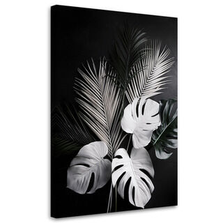 Lerretsbilde, Monstera-blader Palmeblader svart og hvitt