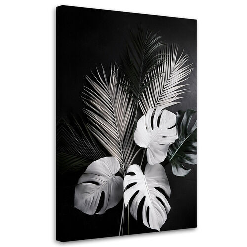 Lerretsbilde, Monstera-blader Palmeblader svart og hvitt