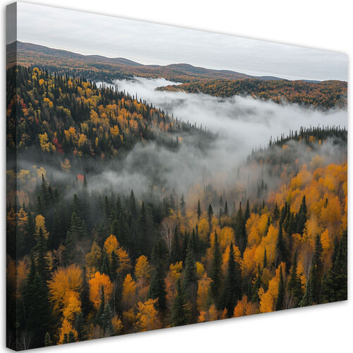 Lerretsbilde, Skog i tåke naturlandskap