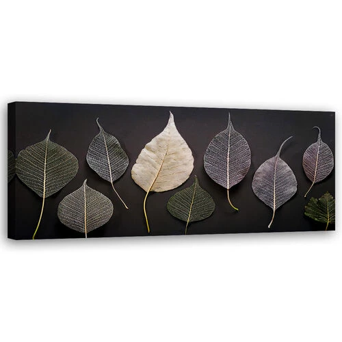 Lerretsbilde, Minimalisme etterlater glamourplanter - (120x40)