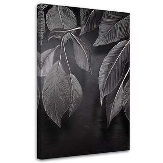 Lerretsbilde, Minimalisme etterlater planter svart og hvitt - (80x120)