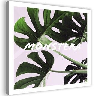 Lerretsbilde, Monstera Eksotiske blader