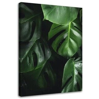 Lerretsbilde, Monstera-blad