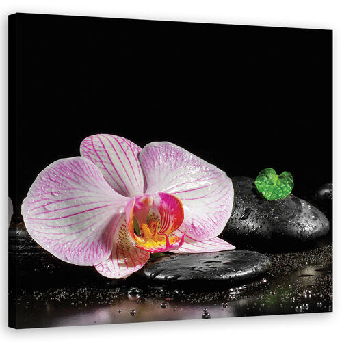 Lerretsbilde, Blomster Orchid Zen Spa