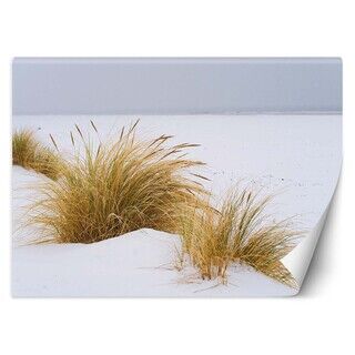 Fototapet, Beach Sea Dunes Landscape