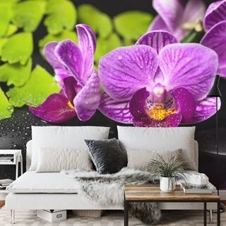 Fototapet Orchid Spa