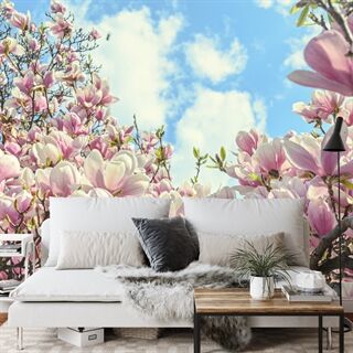 Fototapet Fargerik Blomstrende Magnolia