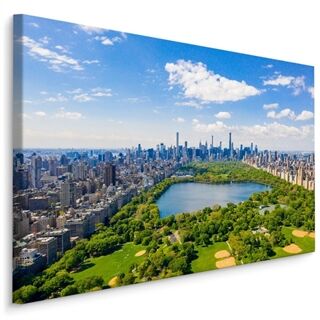 Lerret Luftfoto Av Central Park I New York City
