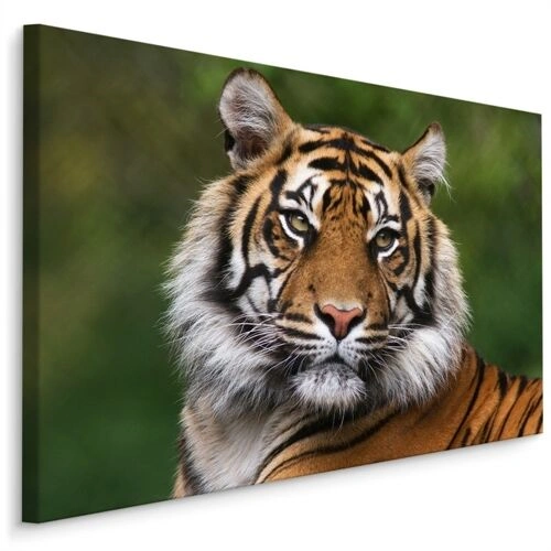Lerret Portrett Av En Bengalsk Tiger