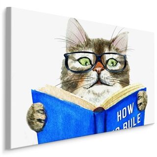 Lerret En Lest Katt