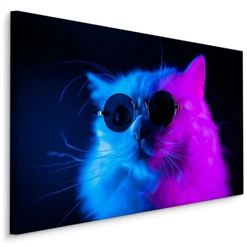 Lerret Katt Med Solbriller