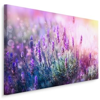 Lerret Blomstrende Lavendel 3D