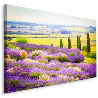 Lerret Blomstrende Lavendelfelt Med 3D-Effekt