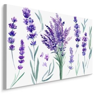 Lerret Blomstrende Lavendel Malt Med Akvarell