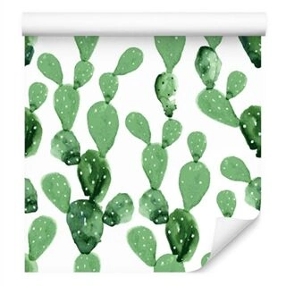 Bakgrunn Akvarell Kaktus Blomster