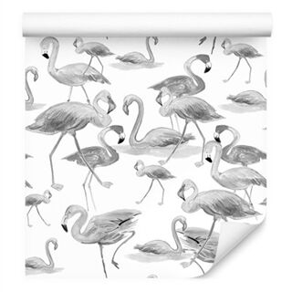Bakgrunn Flamingos Fugler Natursalong