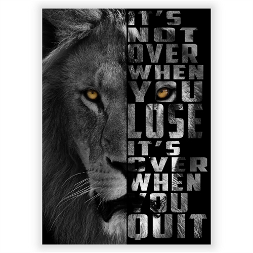 Plakat It\'s not over Lion