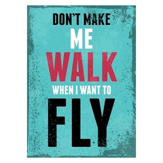 Don't make me walk when I want to fly - Plakat