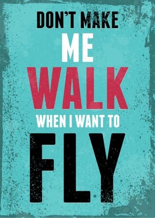 Don't make me walk when I want to fly - Plakat