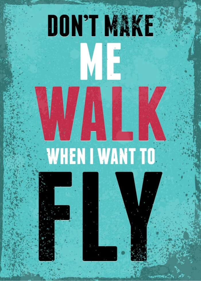 Don\'t make me walk when I want to fly - Plakat