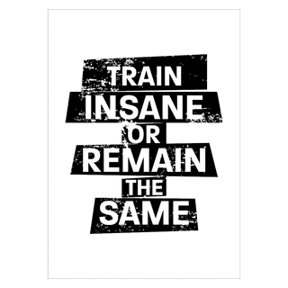 Train insane or remain the same - Plakat