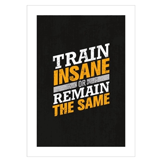 Plakat - Train insane