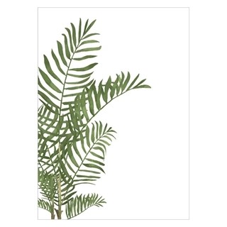 Plakat med kaktusplante