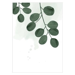 Plakat med kaktusplante