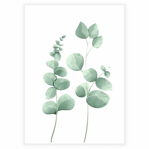 Eukalyptusblader - Plakat