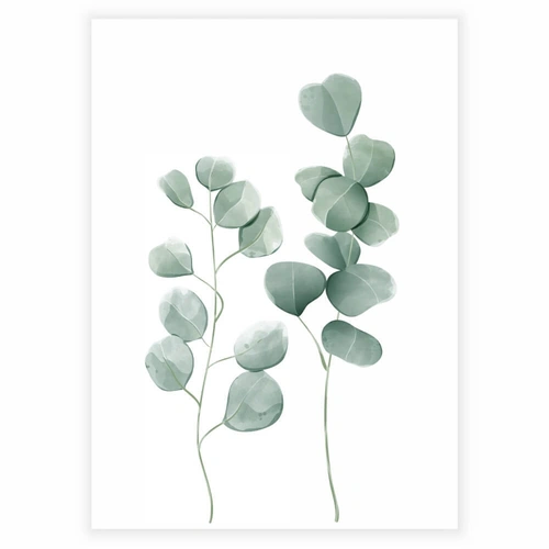 Eukalyptusblader 2 - Plakat