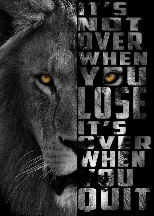 It's not over Lion - Plakat