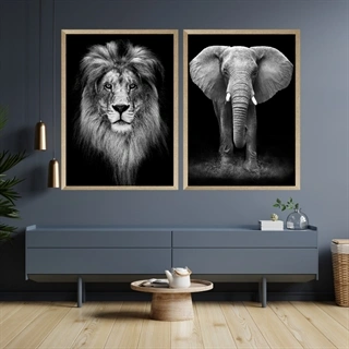 Løve og elefant - Plakatsett