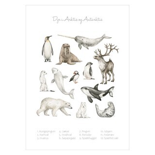 Barn og læring plakat med dyr i Arktis og Antarkis