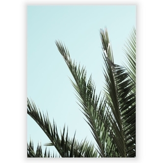 Plakat med palmeblader 3