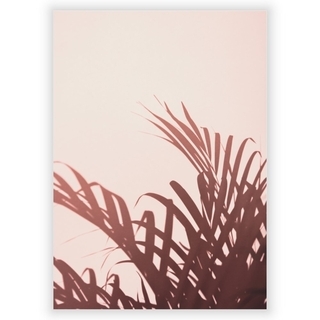 Plakat med palmeblader 5