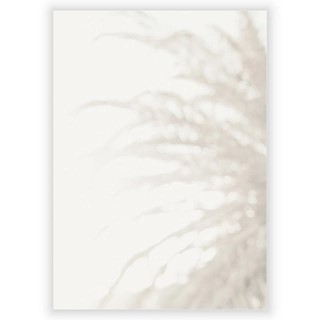 Plakat med Palm 2