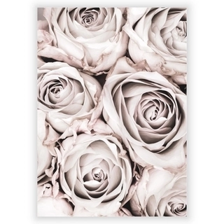 Plakat med grå rose