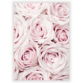 Plakat med rosa roser 1