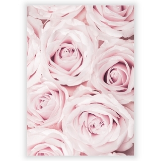 Plakat med rosa roser 2