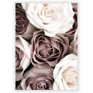 Plakat med roser 1