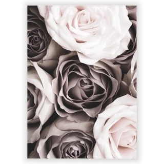 Plakat med roser 2