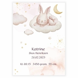 Kanin på skyen - Fødselsplakat