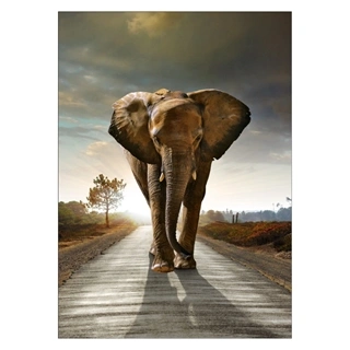 Elefant på vei - Plakat