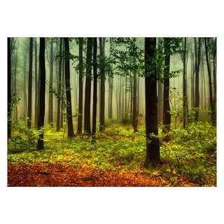 Plakat med skog i høstfarger