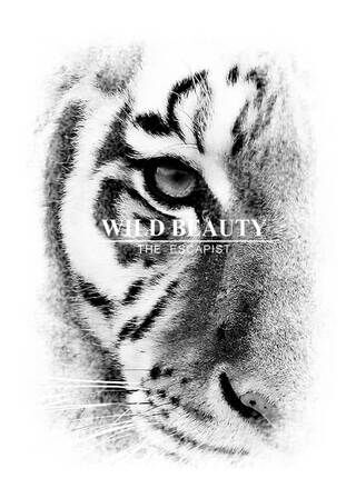 Plakat - Wild Beauty 